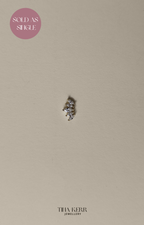Horse Eye Piercing